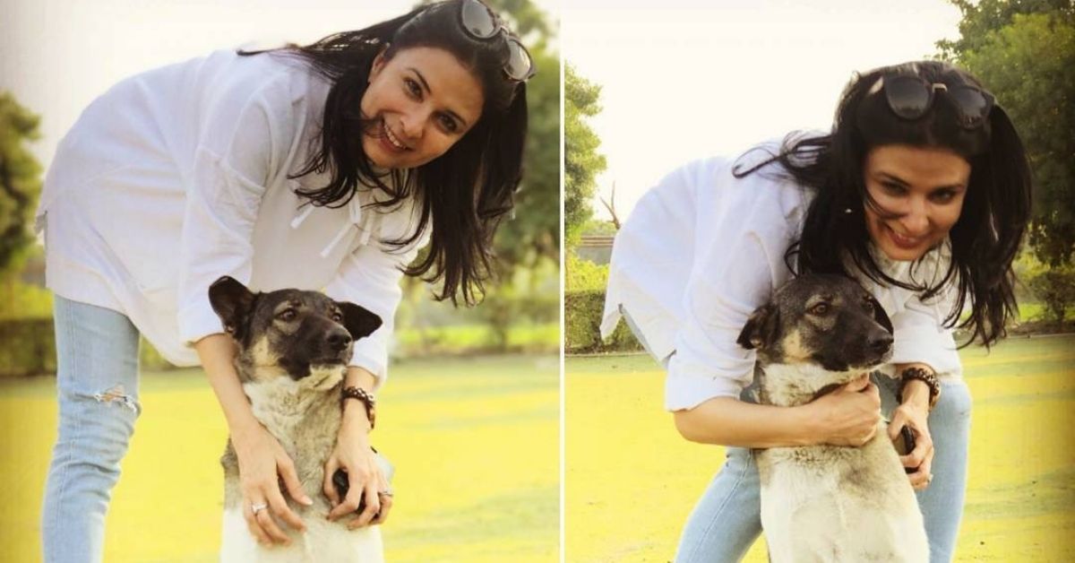 ‘El Beagle de mi hijo me hizo enamorarme de los perros;  Ahora alimento a más de 650 perros callejeros al día