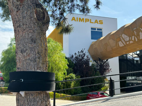 Controlando la polilla gitana – Valencia Internacional