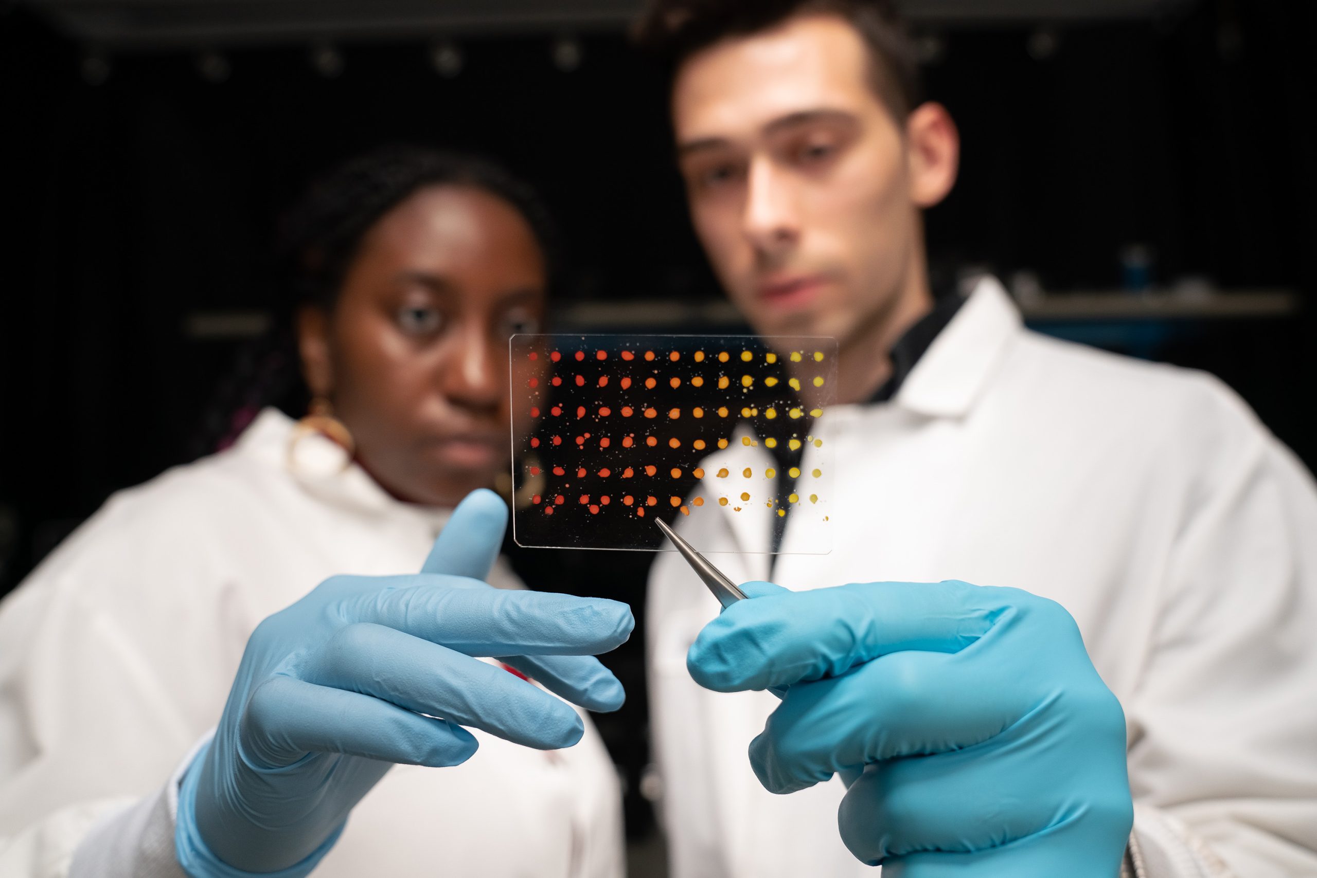 Un nuevo método de visión por computadora ayuda a acelerar la detección de materiales electrónicos |  Noticias del MIT