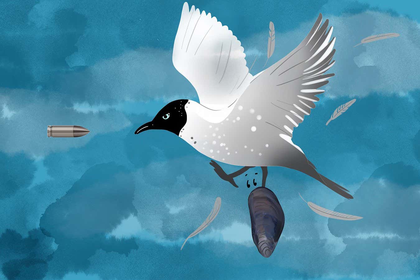 Resolviendo la misteriosa muerte de una gaviota reidora danesa