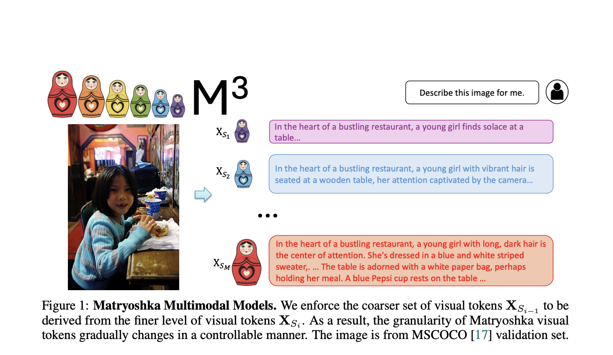 Modelos multimodales Matryoshka con tokenización visual adaptativa: mejora de la eficiencia y la flexibilidad en el aprendizaje automático multimodal