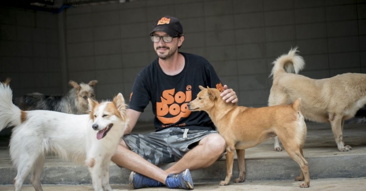 Un estudiante de diseño de Tailandia tiene una idea única para ayudar a los perros a combatir el calor con vallas publicitarias