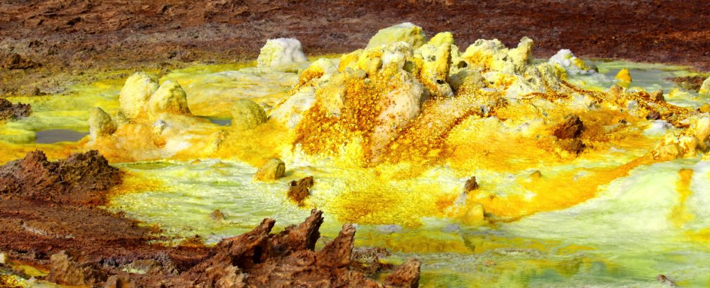 Una tercera forma de vida produce energía de maneras “notables”, descubren los científicos: ScienceAlert