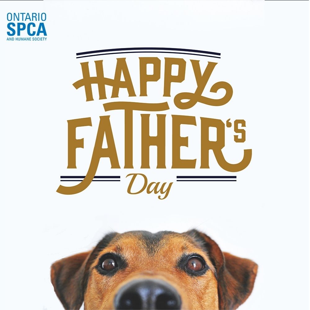 Dale a papá un regalo increíble este Día del Padre