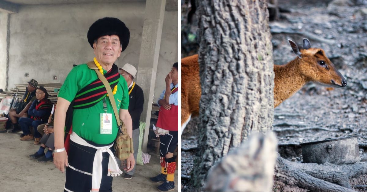 Cazador convertido en salvador de 64 años salva más de 60 especies de aves y animales raros