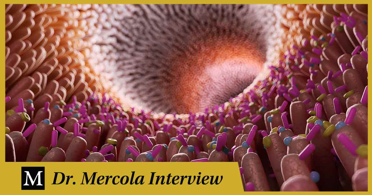 Ruth Ann Foster – Cómo el microbioma intestinal afecta la tolerancia al oxalato