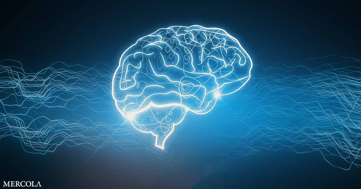 Reconfigurar el cerebro: la promesa y el peligro de la neuroplasticidad