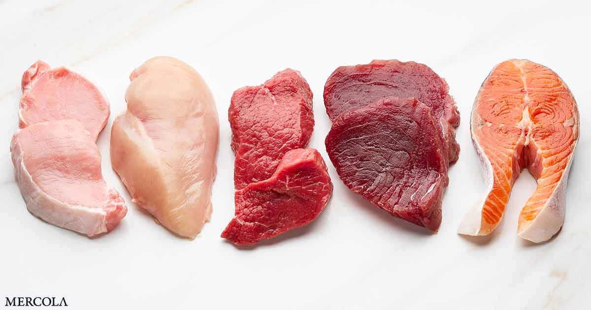 Una dieta rica en proteínas animales aumenta el riesgo de un equilibrio negativo de calcio