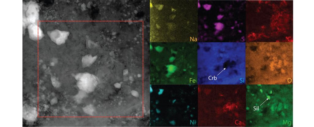 Roca espacial que cayó a la Tierra revela rastros antiguos del sistema solar primitivo: ScienceAlert