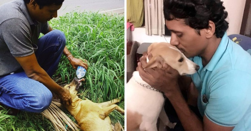Este hombre gasta 20.000 rupias al mes para albergar animales callejeros en su casa