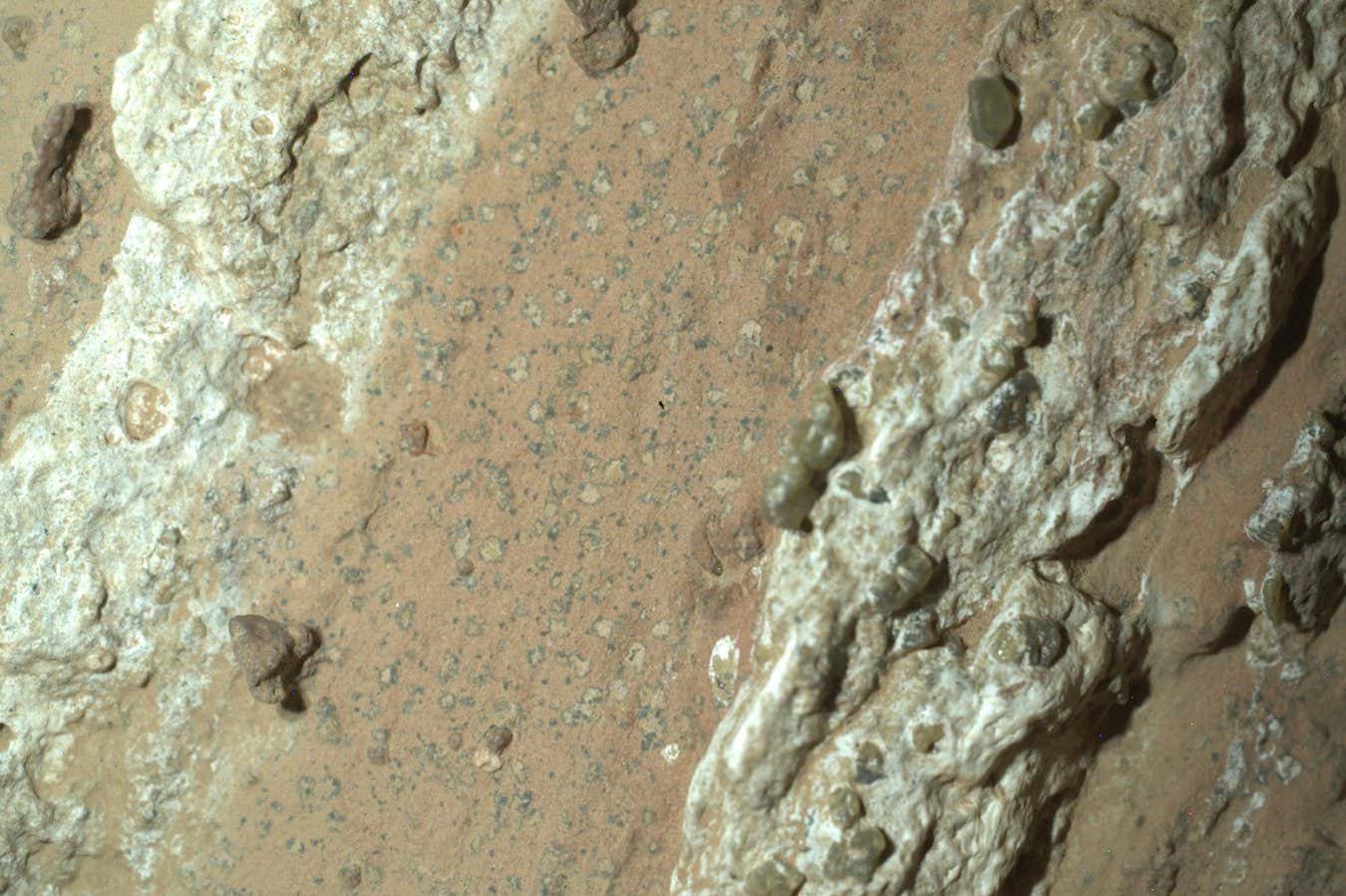 El rover de Marte encontró una roca con posibles signos de vida antigua
