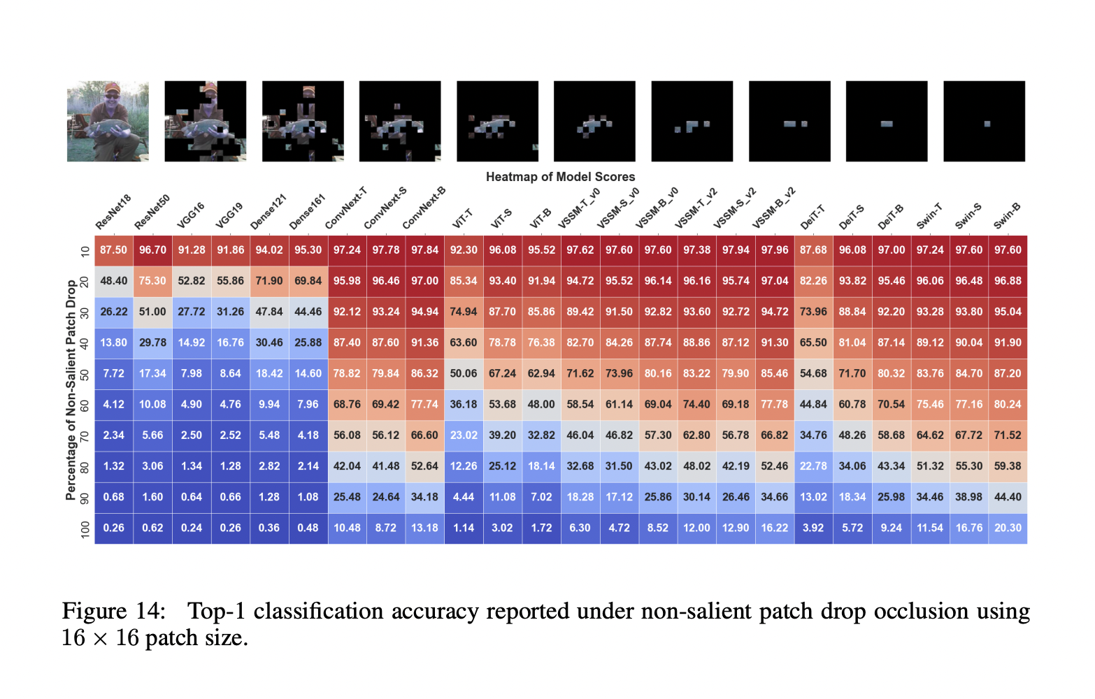 Análisis exhaustivo del rendimiento de los modelos de espacio de estados de visión (VSSM), los transformadores de visión y las redes neuronales convolucionales (CNN)