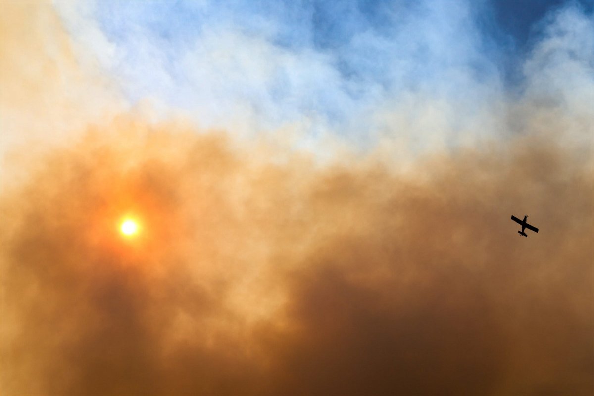 Incendio en Marbella que necesitó de aviones y 100 bomberos para intervenir « Euro Weekly News