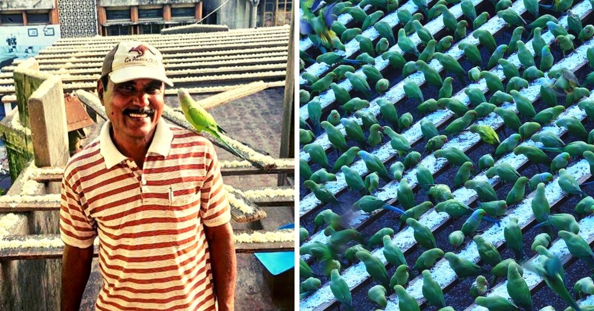 ‘Birdman’ de Chennai ¡Dona el 40% de su salario para más de 8.000 periquitos!