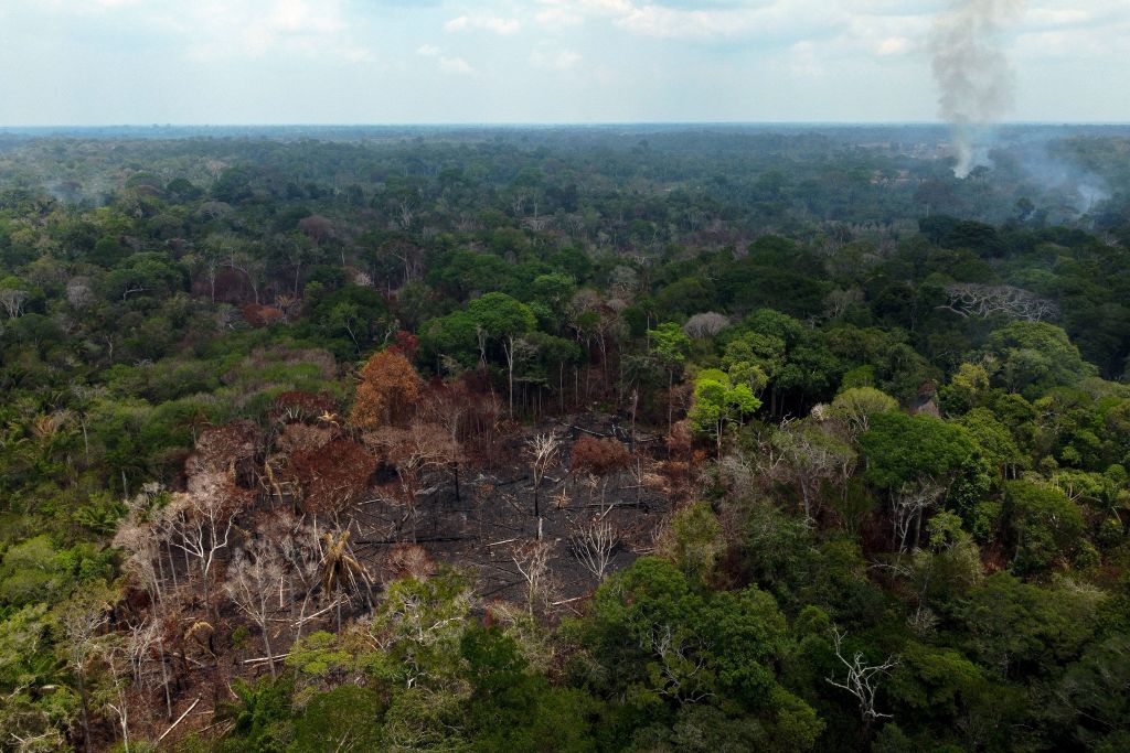 Incendio sin precedentes: más de 13.000 incendios forestales azotan la Amazonia brasileña en seis meses