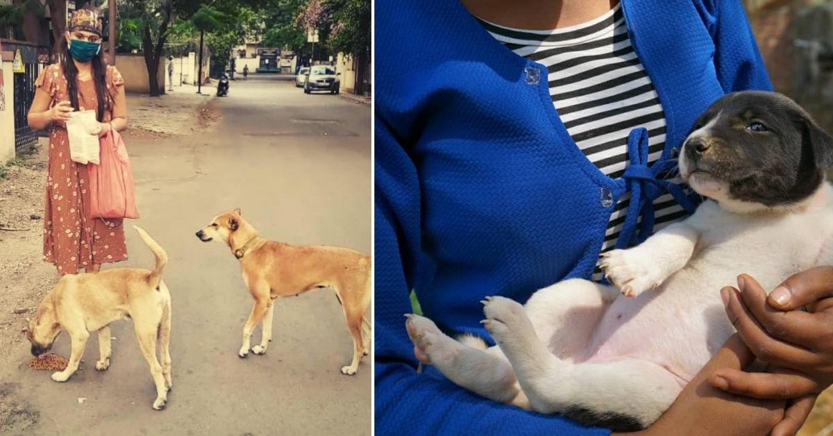Estos ciudadanos son héroes para cientos de perros callejeros. ¡Únete a ellos!