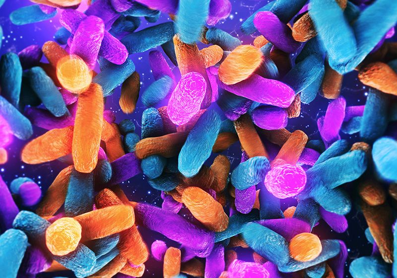 En busca de nuevas terapias bacterianas entre vecinos microbianos