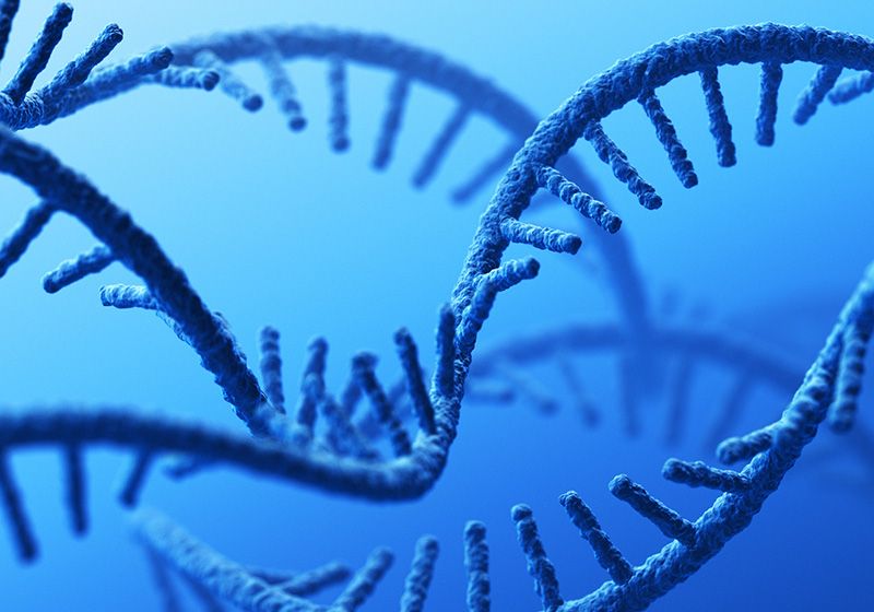 Una herramienta CRISPR para manipular el transcriptoma humano