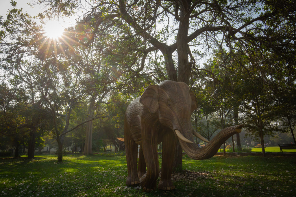 La UNESCO designa nuevas reservas de la biosfera en 11 países para fortalecer la conservación de animales y plantas