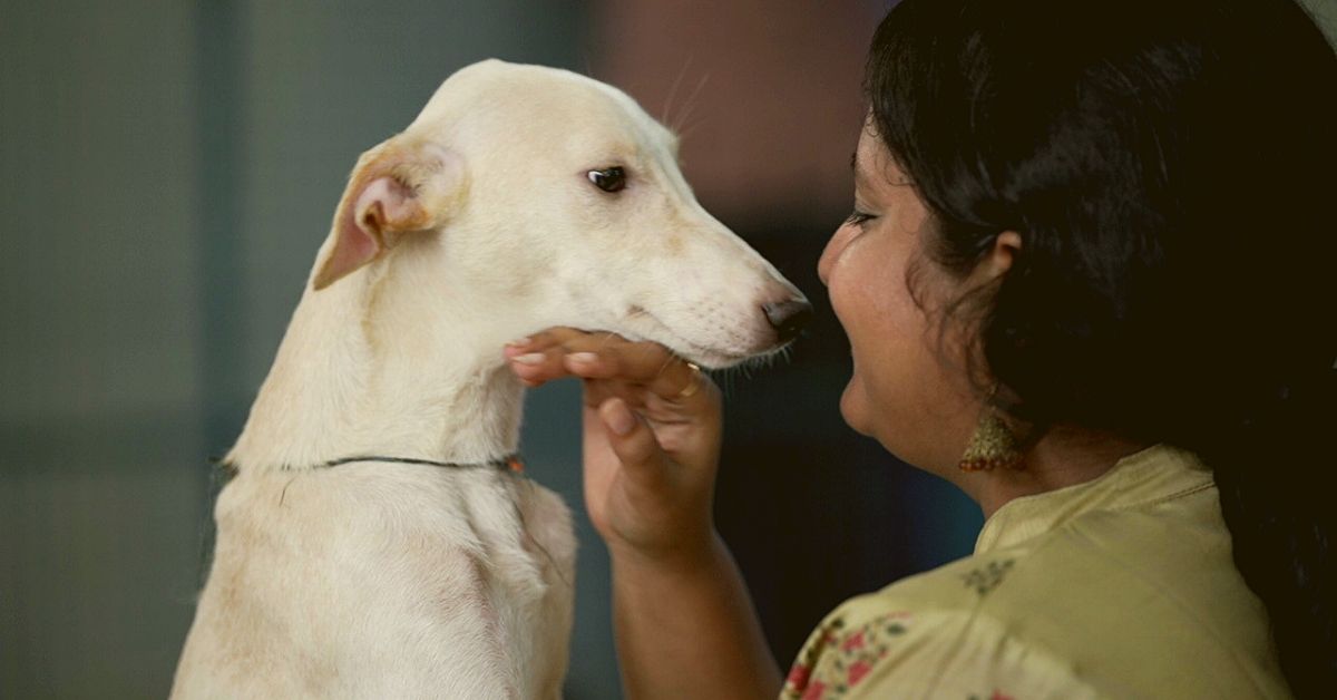 ¡Una ONG de Mumbai se asocia con TikTok para darles a los perros un hogar permanente!