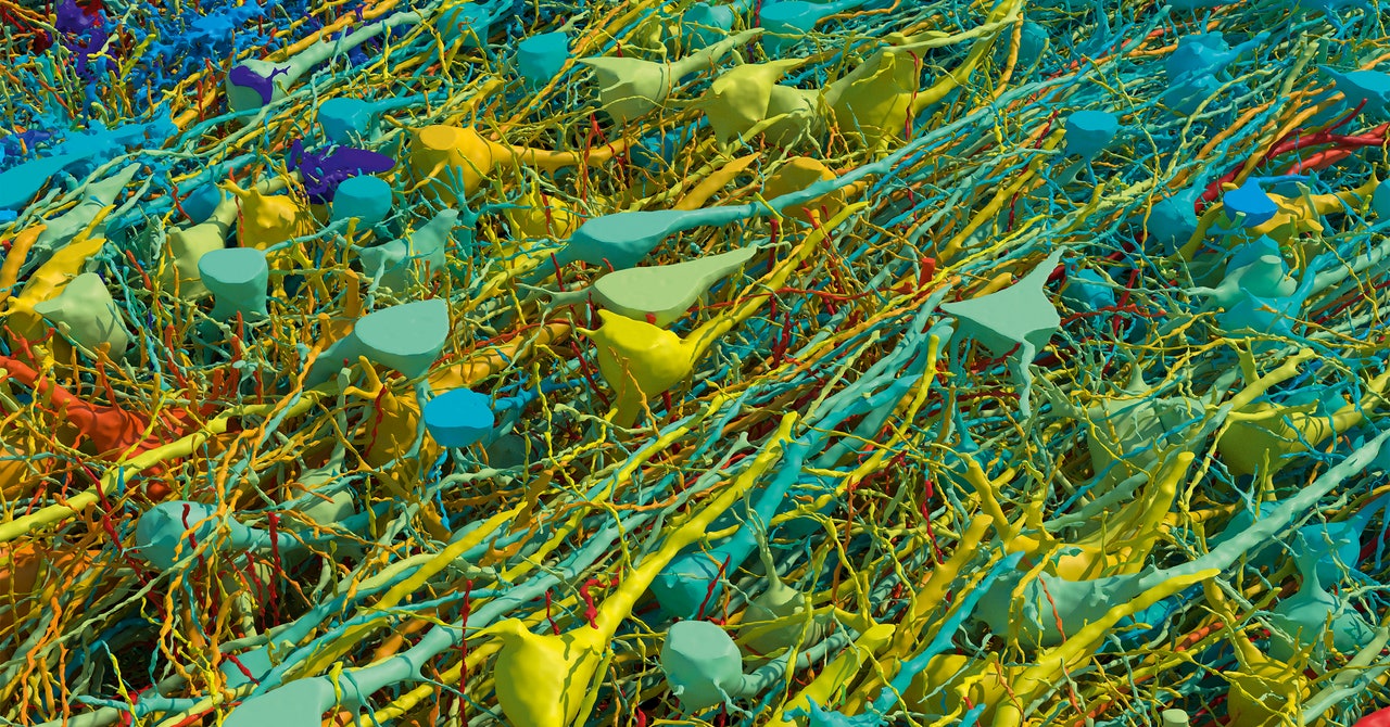 Este es el mapa más detallado de las conexiones cerebrales humanas jamás realizado