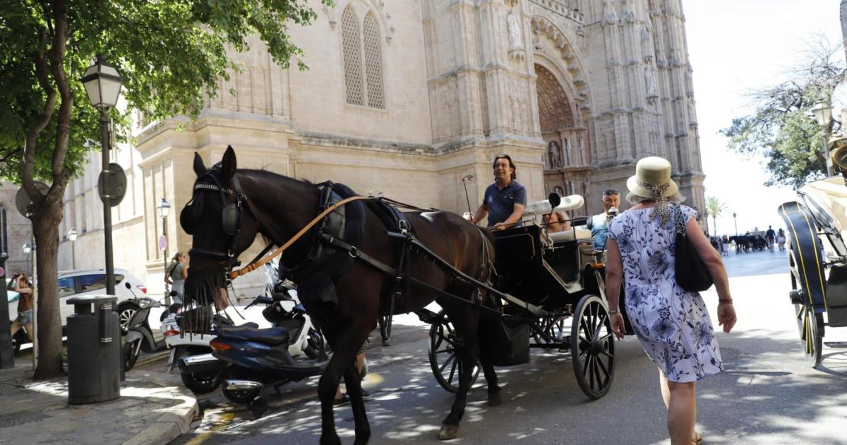 Protesta contra los carruajes de caballos en Palma