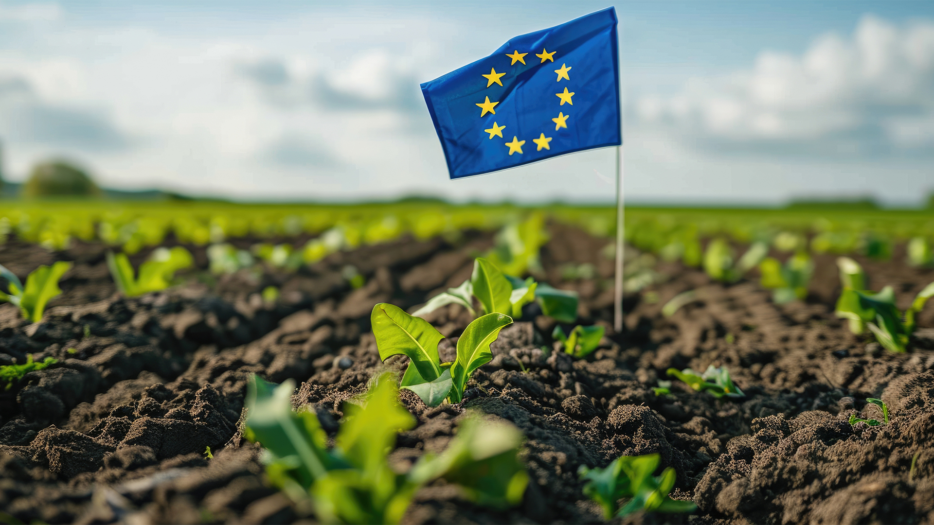 Cinco tendencias políticas europeas clave que definirán la movilidad sostenible en los próximos años