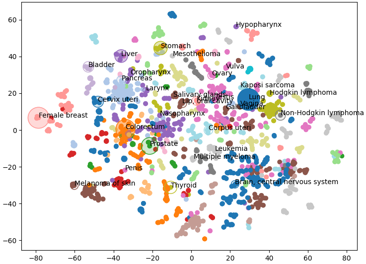 Explorando los tipos de cáncer con neo4j | por David Wells | agosto, 2024