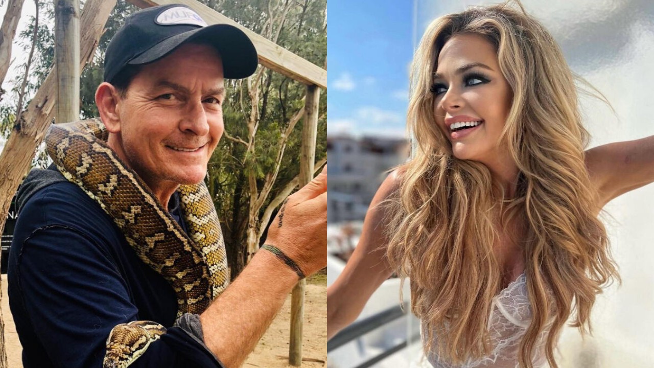 ¿Las ex parejas de Charlie Sheen, Denise Richards y Brooke Mueller, están filmando una serie juntas?