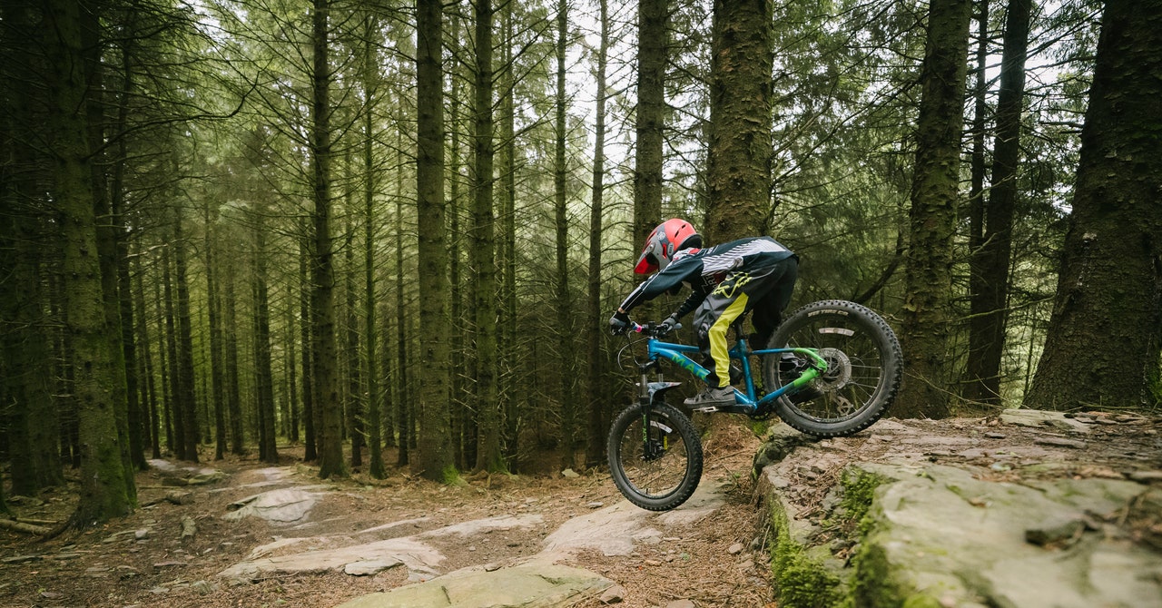 Los ciclistas de montaña están recuperando la naturaleza salvaje pagando al gobierno para que lo haga
