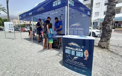 Mares que saben – Noticias Costa Tropical Gazette