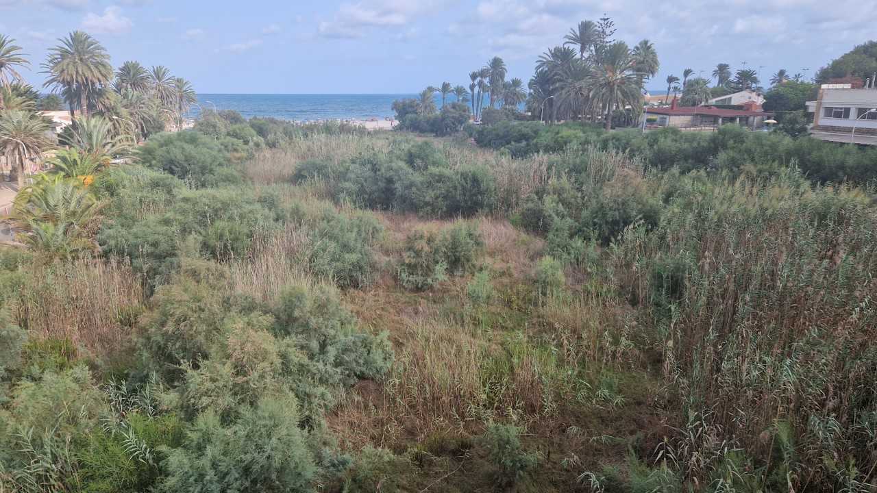 Se retrasa la limpieza de los cauces de los ríos de Orihuela Costa pese al riesgo de fuertes lluvias