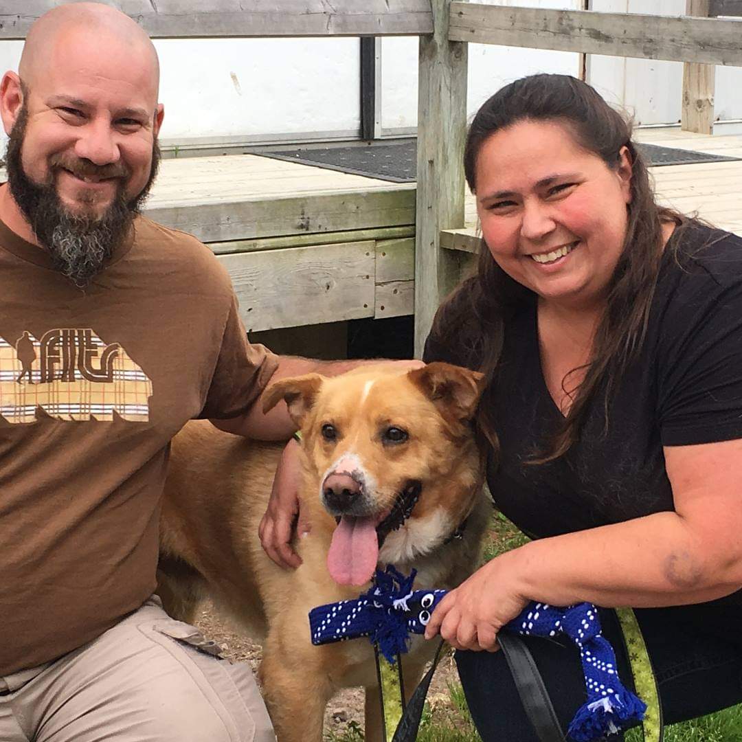 El dulce legado de Yoda – SPCA y Humane Society de Ontario