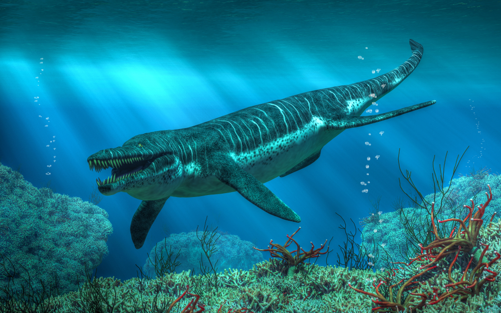 Con una mandíbula enorme y dientes de 30 centímetros de largo, el Kronosaurus era un depredador temible