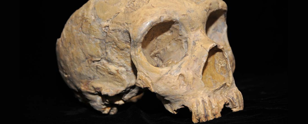 Descubren sorprendentes signos de adaptabilidad neandertal en un antiguo refugio rocoso: ScienceAlert