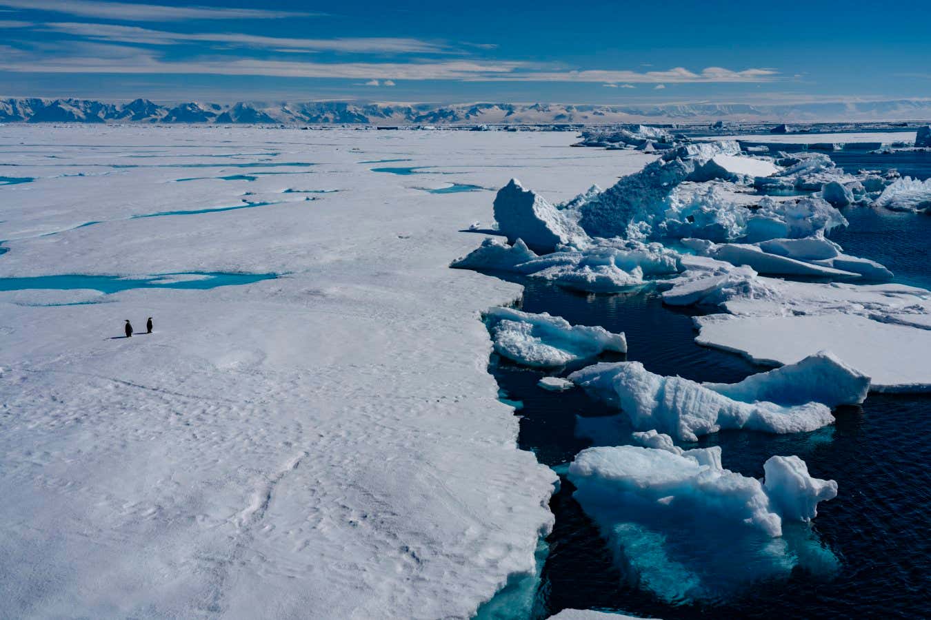 El derretimiento del hielo antártico podría frenar el aumento del nivel del mar