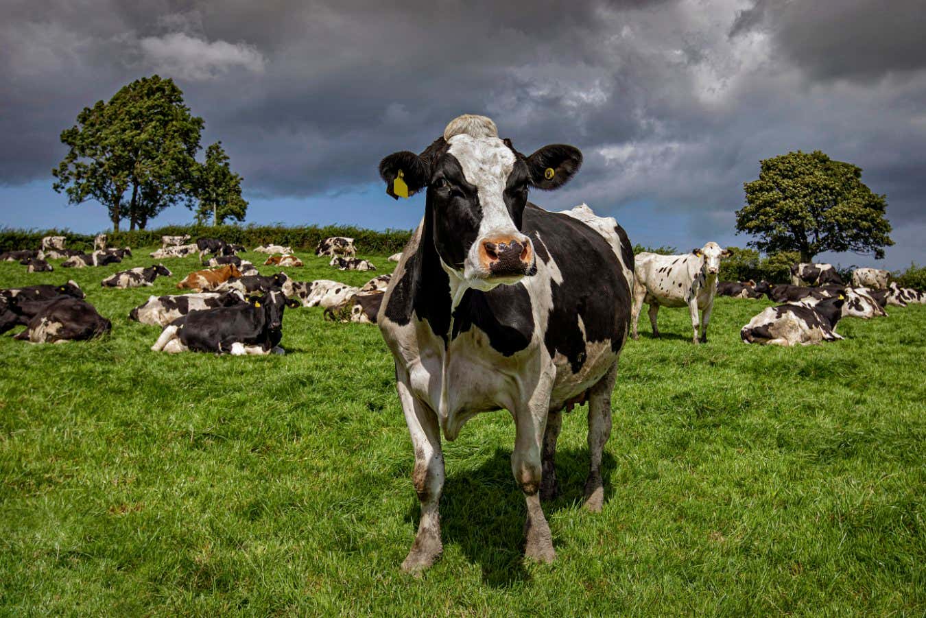 El impacto climático de nuestra alimentación es cada vez peor
