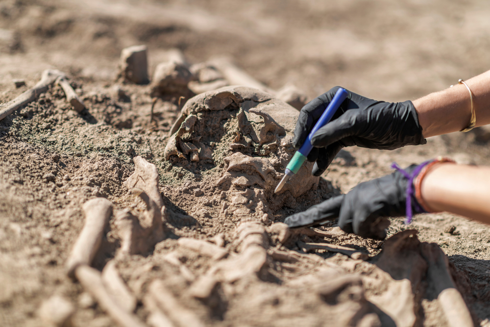Antiguos templos peruanos muestran señales de sacrificios humanos y surgimiento de la religión