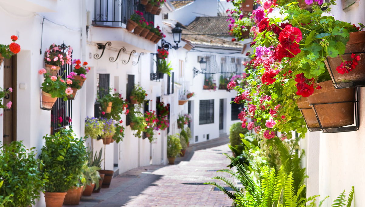 La terraza mejor decorada de Benalmádena « Euro Weekly News