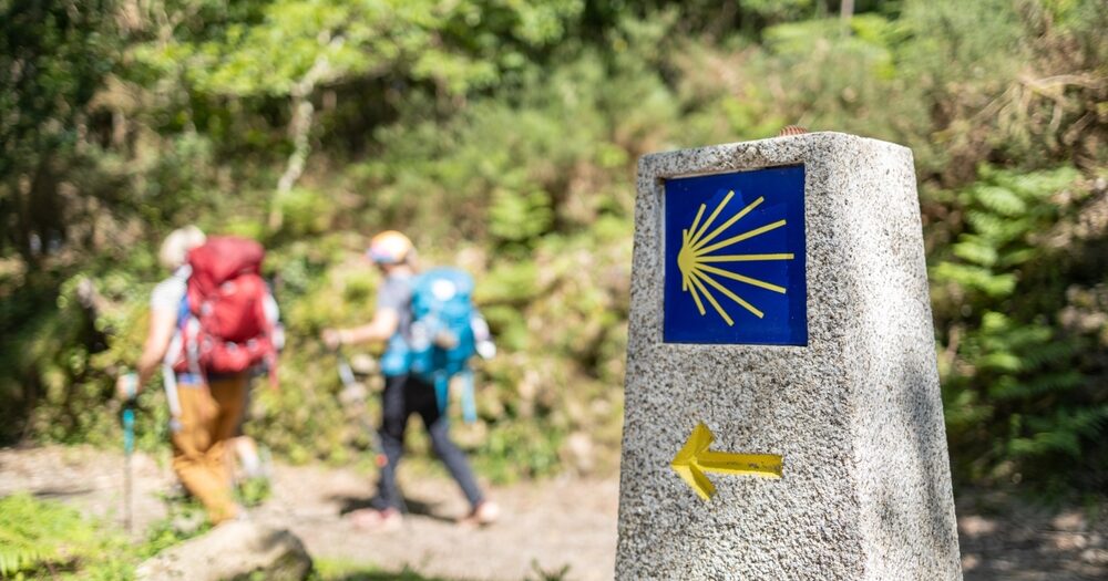 Del incendio provocado al robo de lechuga