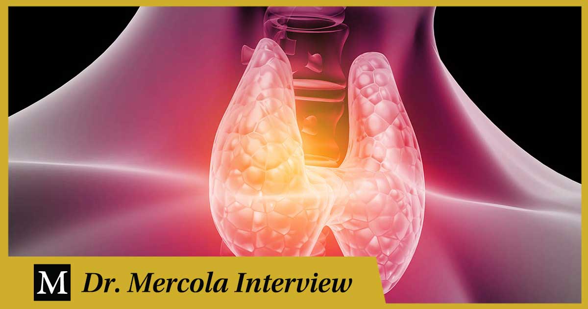 Keith Littlewood – Desbloqueando los secretos de la salud y la vitalidad hormonal