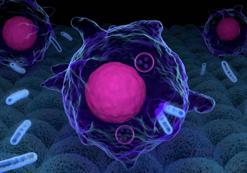 El crecimiento bacteriano lento permite la resistencia a los antibióticos