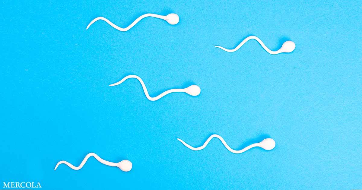 La crisis de fertilidad masculina que debes conocer