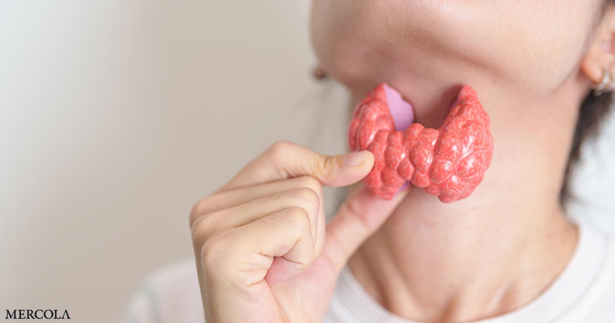 Nutrientes clave para favorecer una salud tiroidea óptima
