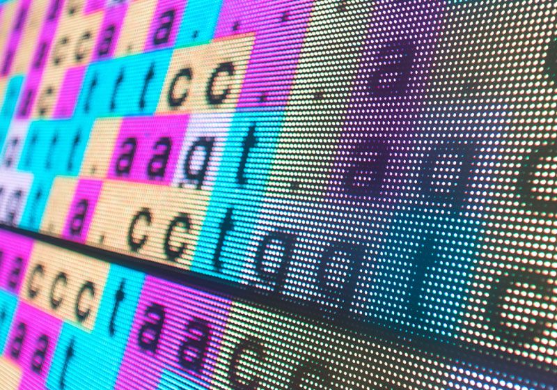 Ampliando el alfabeto genético | The Scientist Magazine®