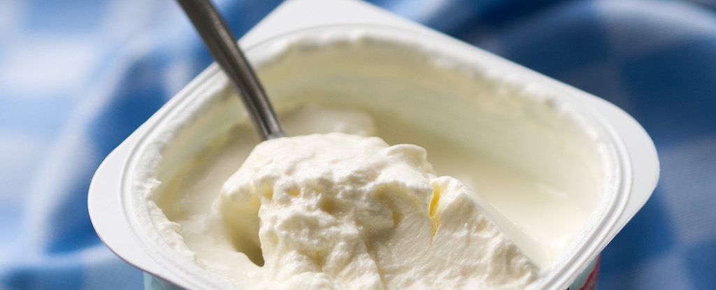 Endulzar el yogur con miel podría aumentar sus beneficios probióticos: ScienceAlert