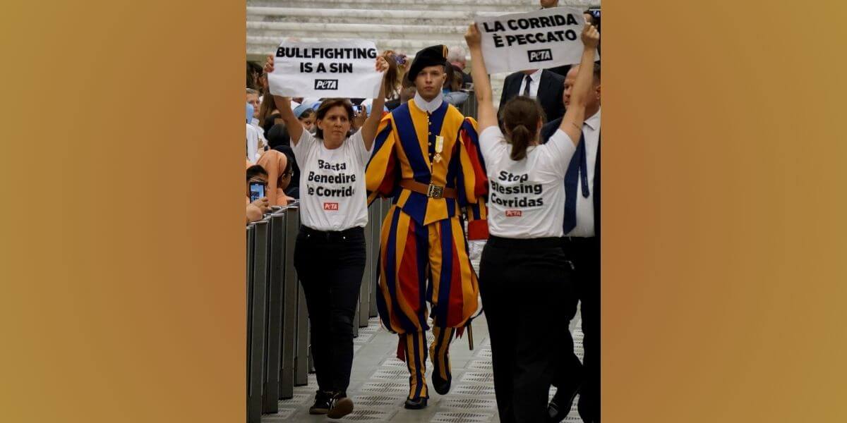 PETA UK se lanza contra el Vaticano para proteger a los toros