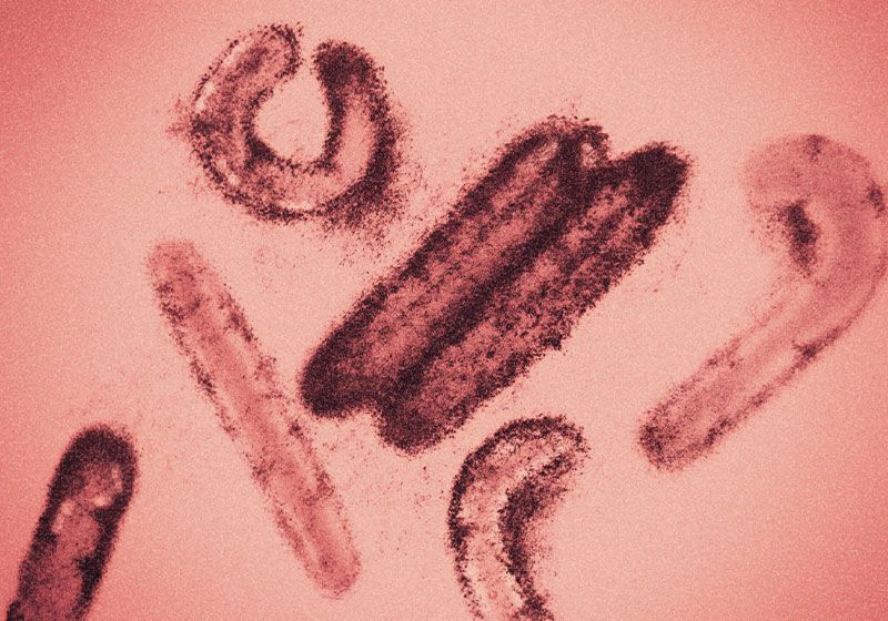 La investigación viral se vuelve loca para estudiar los efectos indirectos
