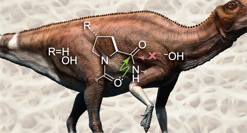 El colágeno persiste misteriosamente en los huesos de los dinosaurios durante decenas de millones de años