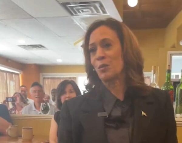 Kamala Harris atrae a una gran multitud en una zona rural de Pensilvania